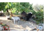Appartement Adriana Stancijeta - Novigrad Croatie