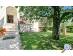 Maena Appartments - Novigrad Kroatien