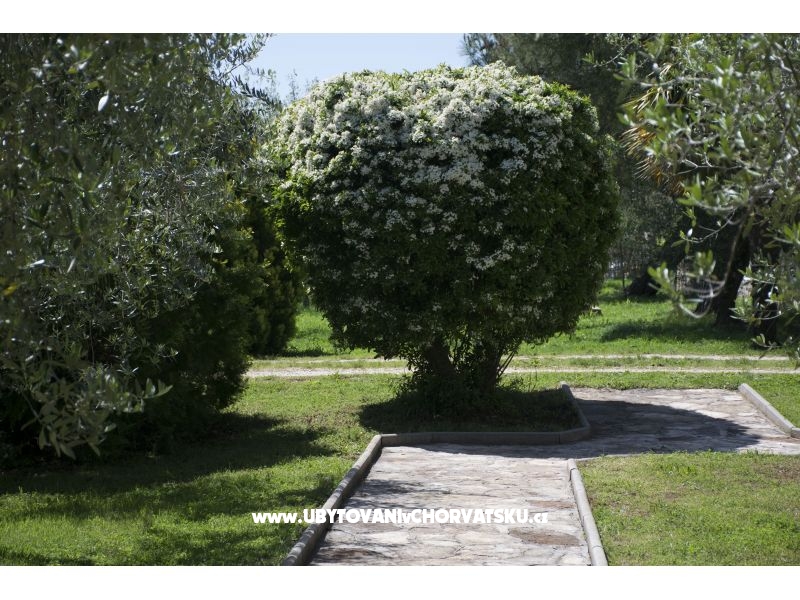 Sanja Ferienwohnungen Novigrad – Ferienwohnung Novigrad, Kroatien – Foto 3