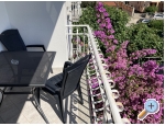 Villa Vienna - Novigrad Kroatien