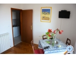 Villa Vienna - Novigrad Kroatien