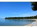 Villa Vienna - Novigrad Kroatien