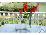 Villa Vienna - Novigrad Kroatien