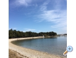 Villa Vienna - Novigrad Kroatien