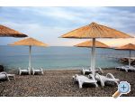 Villa Vienna - Novigrad Hrvaka