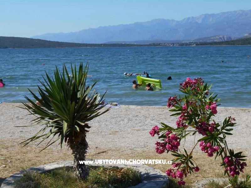 Apartment Dedi – Ferienwohnung Novigrad, Kroatien – Foto 9