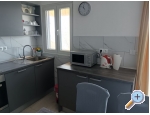 Apartment Dolac 4 - Novigrad Kroatien