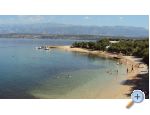 Apartment Dolac 4 - Novigrad Kroatien