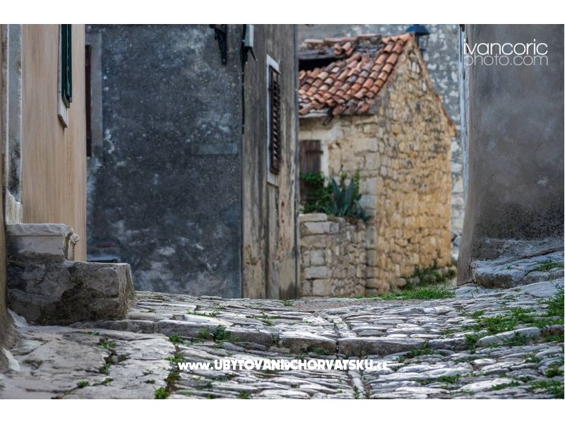 Appartements Ivo – Ferienwohnung Novigrad, Kroatien – Foto 14