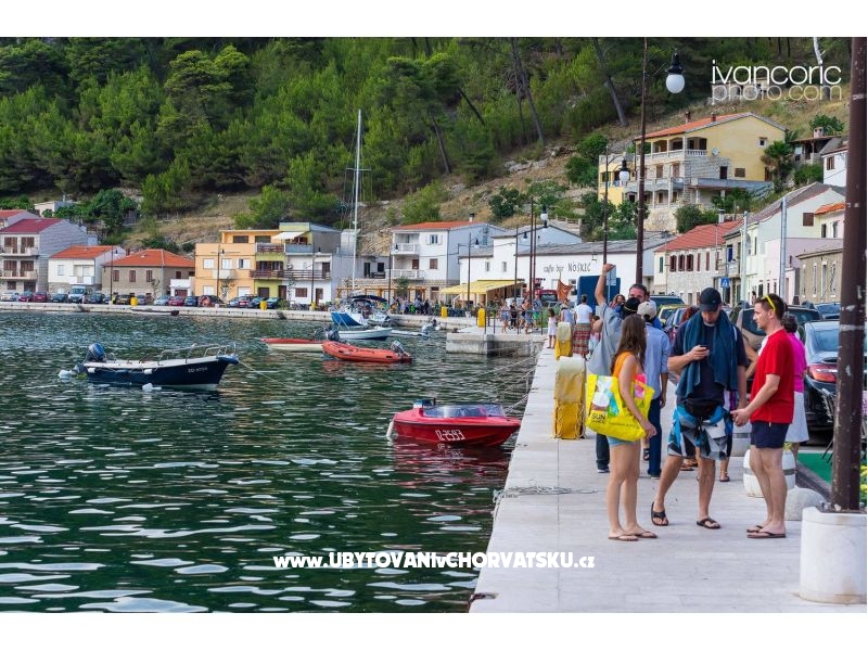 Appartements Ivo – Ferienwohnung Novigrad, Kroatien – Foto 15