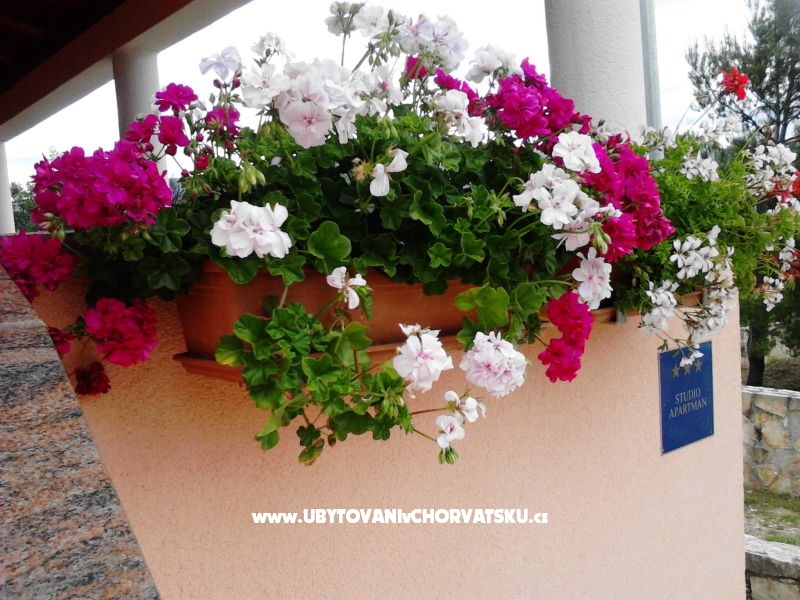 Appartement Jasna – Ferienwohnung Novigrad, Kroatien – Foto 14