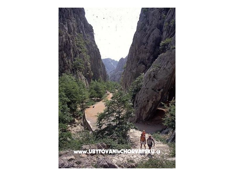 Kuća za odmor Sonja – Ferienwohnung Novigrad, Kroatien – Foto 15