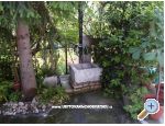 Apartmaji Barievi - Novi Vinodolski Hrvaka