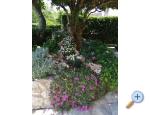 Appartements BUTKOVI DUBRAVKA - Novi Vinodolski Kroatien