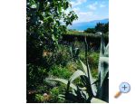 Apartmaji BUTKOVI DUBRAVKA - Novi Vinodolski Hrvaka