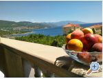 Appartements Čajić – Novi Vinodolski – Vorschau 1