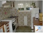 Apartamenty DANICA - Novi Vinodolski Chorwacja