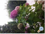 Apartmaji Katarina - Novi Vinodolski Hrvaka