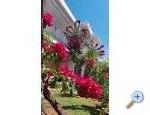 Apartmaji Sokoli - Novi Vinodolski Hrvaka