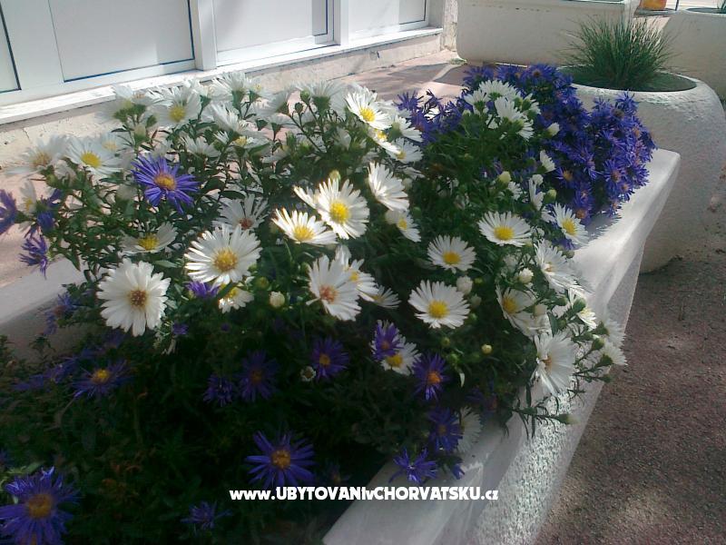 Apartment ANKA S. – Ferienwohnung Omis, Kroatien – Foto 8