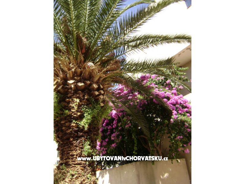 Apartmán Mia – ubytování Omiš, Chorvatsko – foto 11