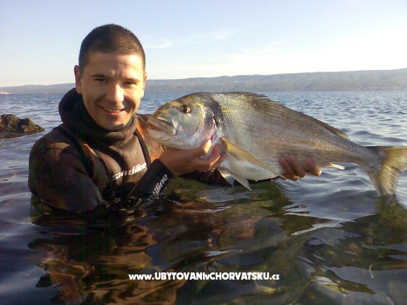 Apartment Omiš Čelina – Ferienwohnung Omis, Kroatien – Foto 15