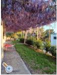 Apartmny AGAVA - Omi Chorvatsko