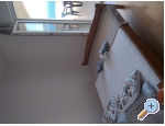 Appartements Blaevi - Omi Kroatien