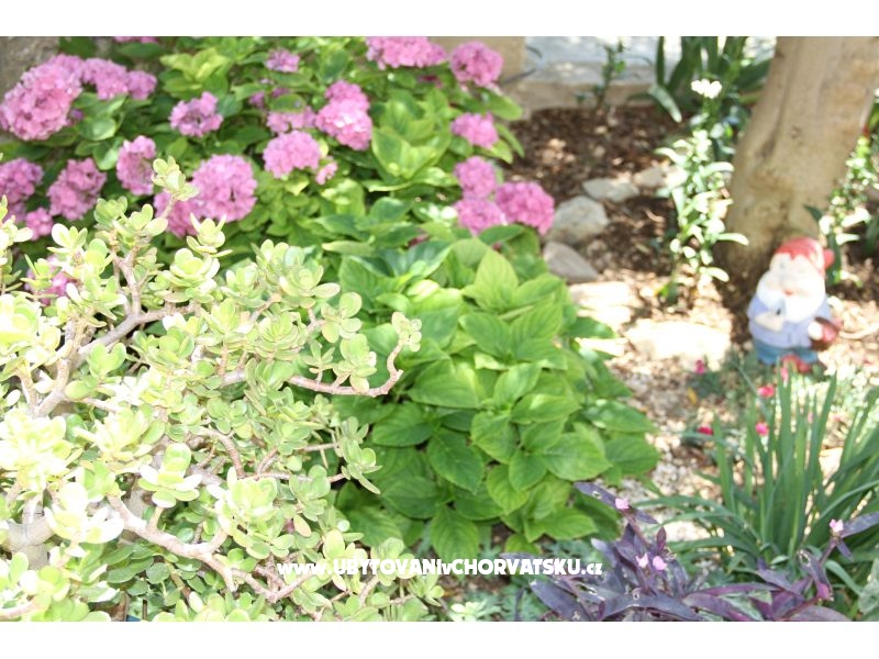 Appartements Cvita – Ferienwohnung Omis, Kroatien – Foto 17