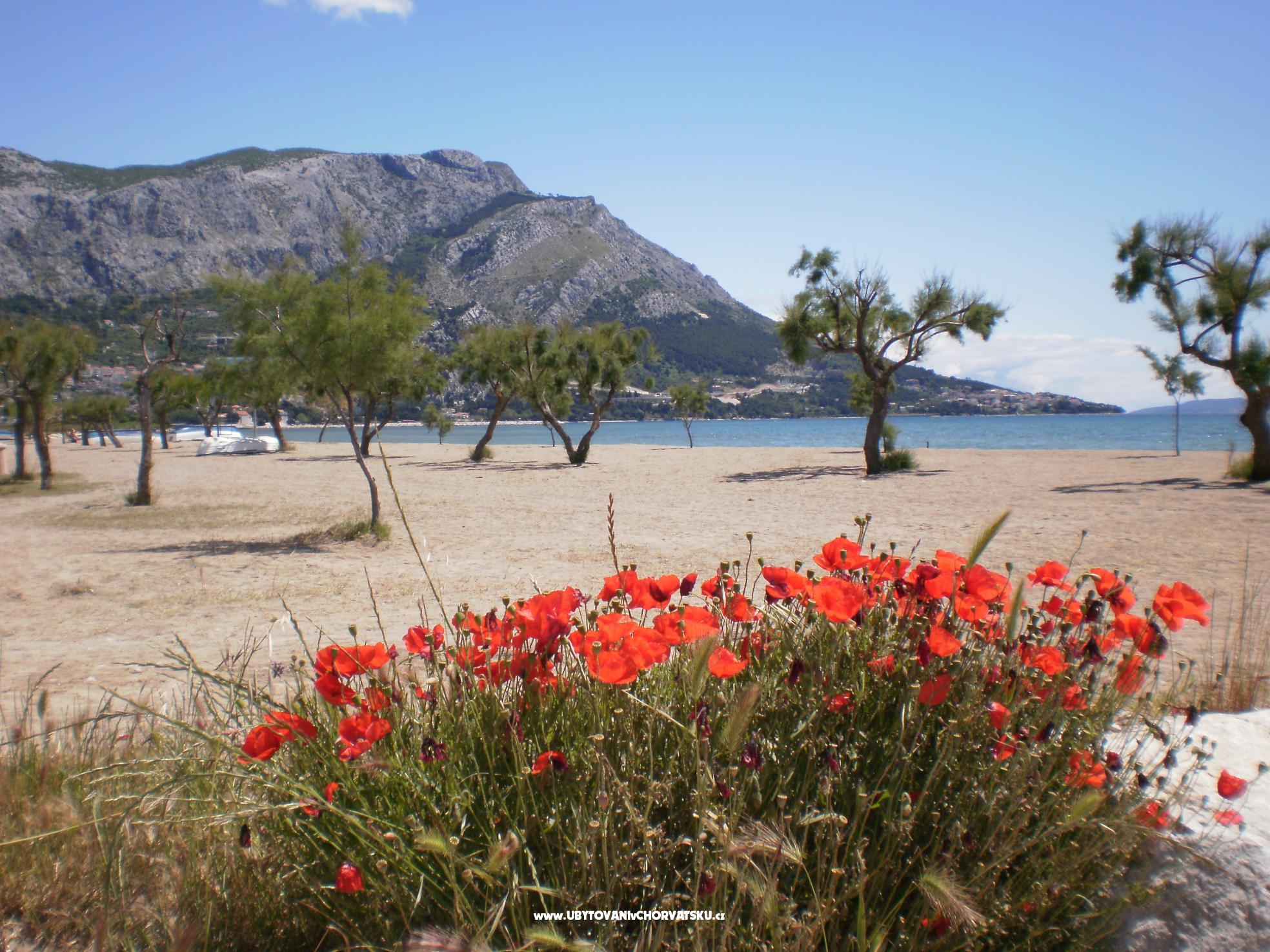 Appartements Danka Čudić – Ferienwohnung Omis, Kroatien – Foto 3