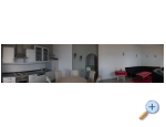 Apartmny Delfin Stanii - Omi Chorvatsko