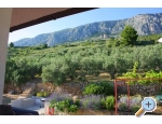 Appartements Dragana - Omi Kroatien