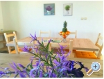 Appartements Dragana - Omi Kroatien