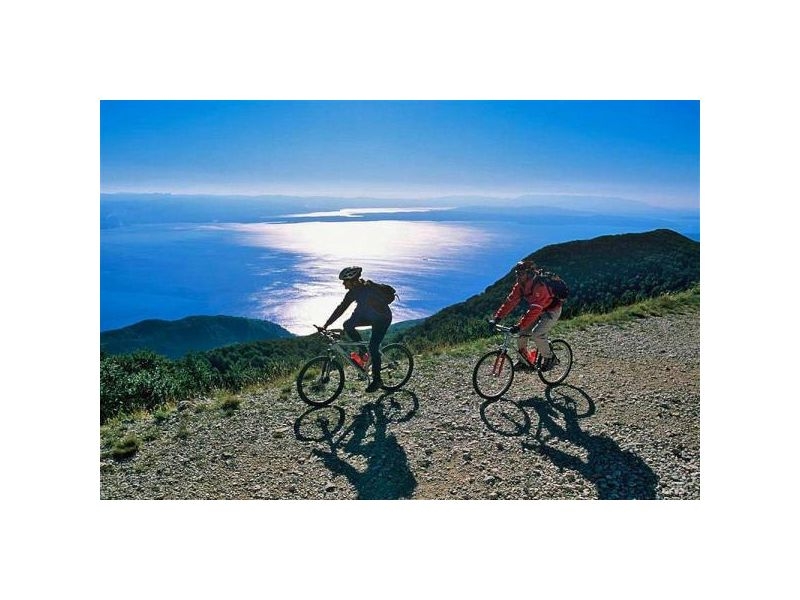 APARTMANI JELENA – Ferienwohnung Omis, Kroatien – Foto 10