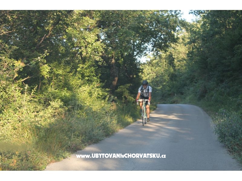 Appartements Bašić – Ferienwohnung Omis, Kroatien – Foto 16