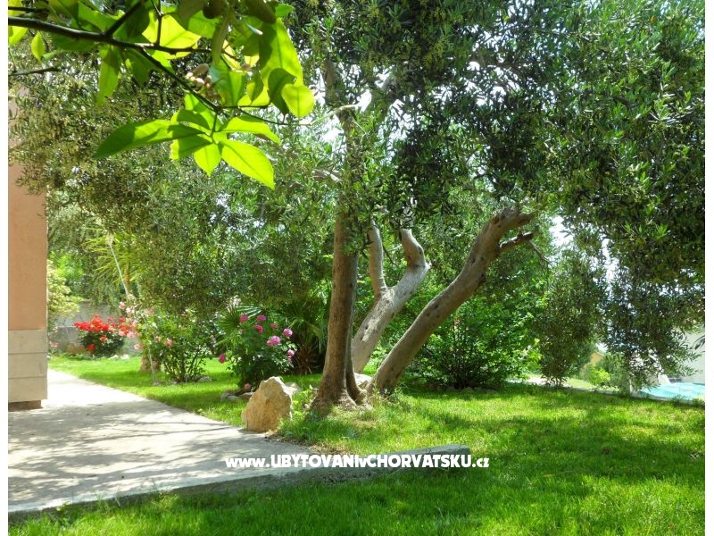 Apartmány Maja – ubytování Omiš, Chorvatsko – foto 3