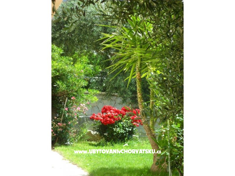 Apartmány Maja – ubytování Omiš, Chorvatsko – foto 4