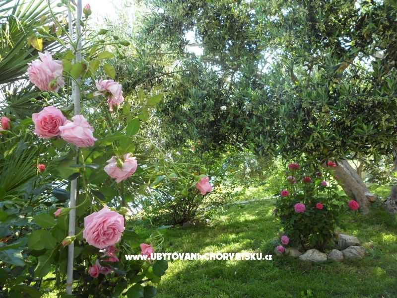 Apartmány Maja – ubytování Omiš, Chorvatsko – foto 6