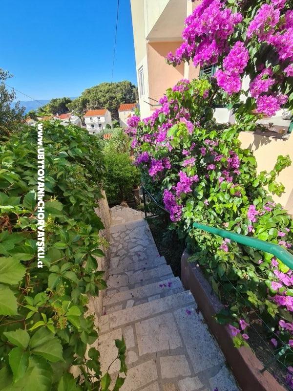 Appartements Miro, Duće – Ferienwohnung Omis, Kroatien – Foto 5