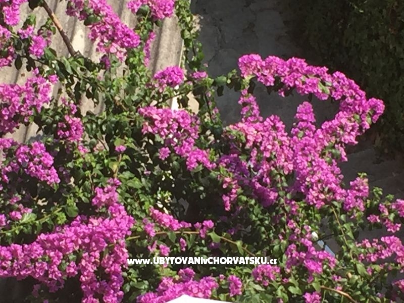 Appartements Nejašmić – Ferienwohnung Omis, Kroatien – Foto 17