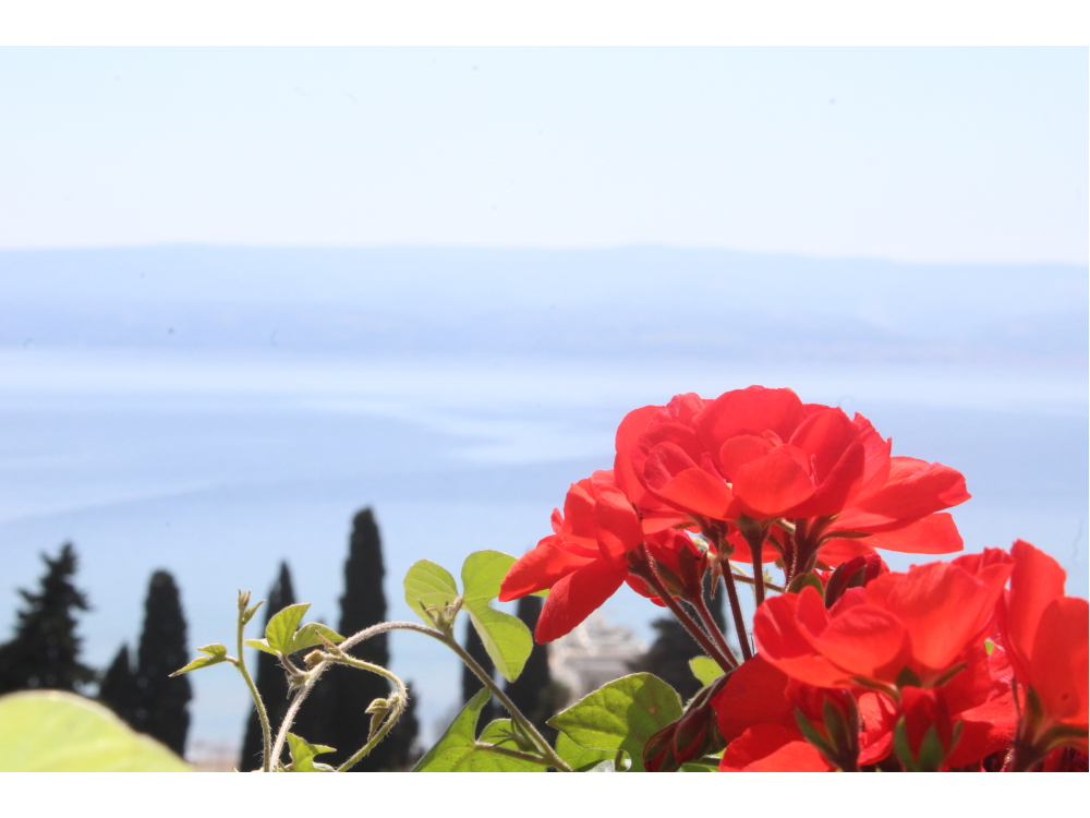 Appartements Rubi - Omi Kroatien