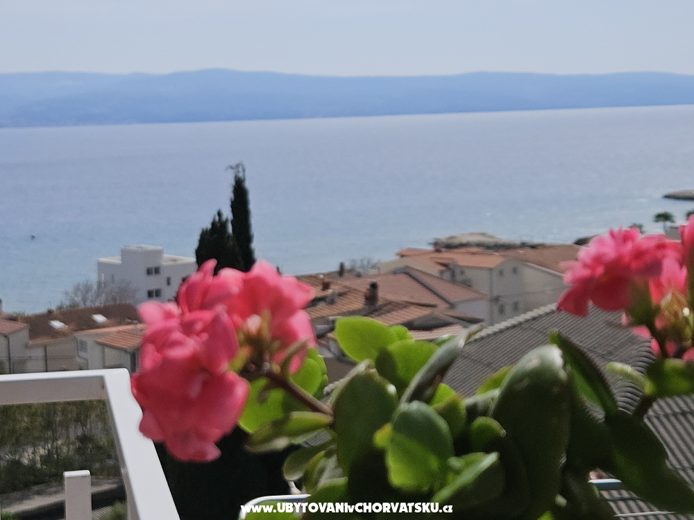 Appartements Rubi - Omi Kroatien