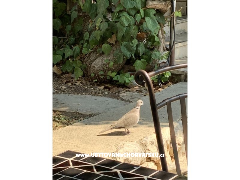 Appartement Parunica – Ferienwohnung Omis, Kroatien – Foto 7