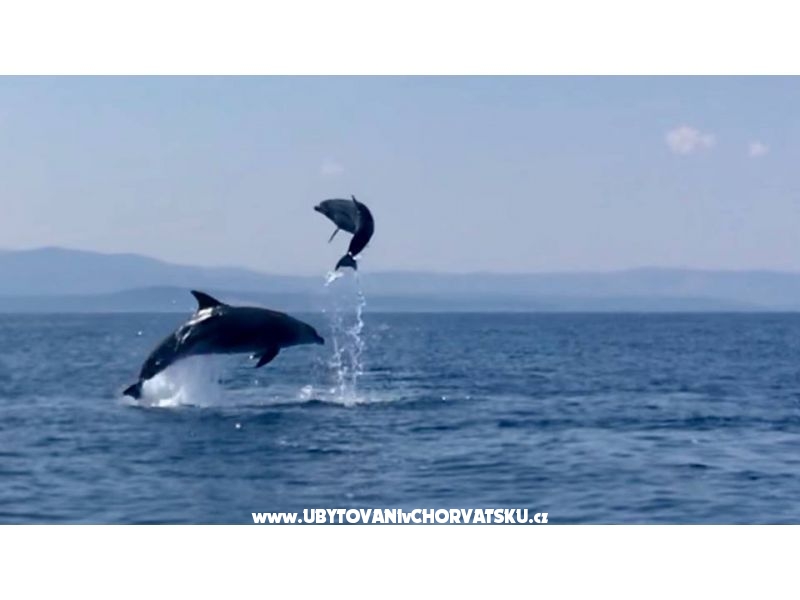 Appartements Zora  – Ferienwohnung Omis, Kroatien – Foto 18