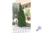 Apartmny Bliznac - Omi Chorvatsko