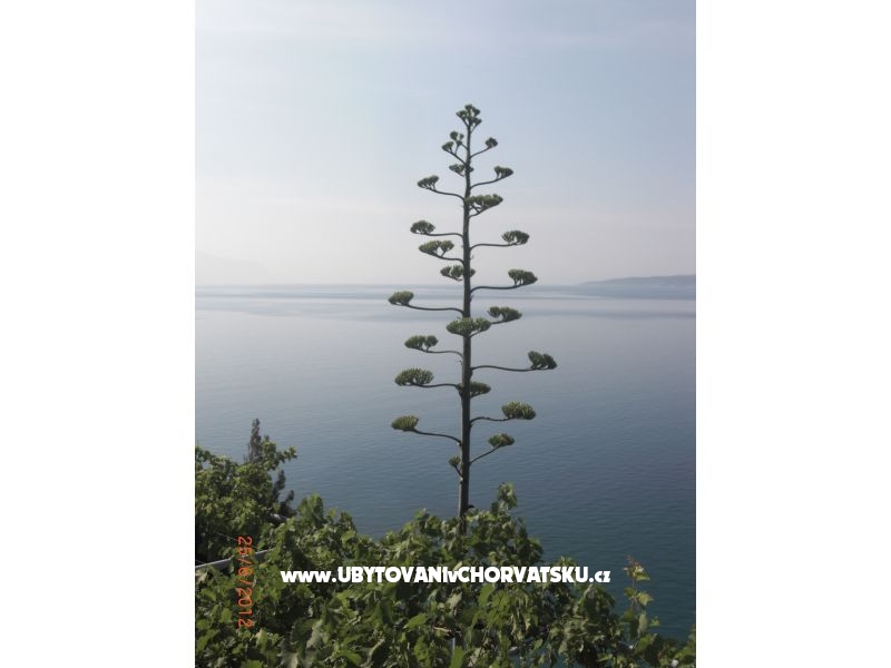 Appartements Culjak  Omiš Marušići – Ferienwohnung Omis, Kroatien – Foto 3