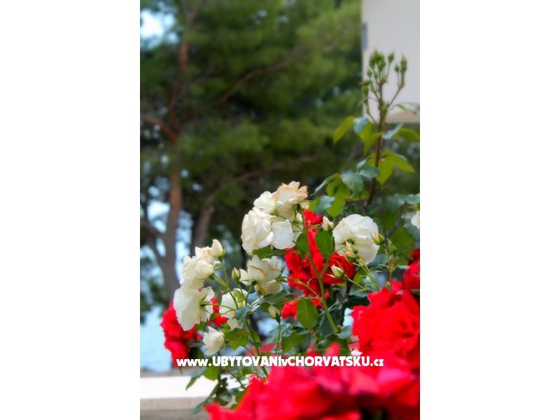 Villa Golubinka – Ferienwohnung Omis, Kroatien – Foto 5