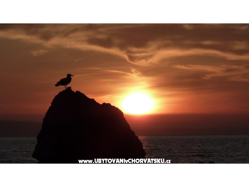 Villa Iva - beach, sea, sun – ubytování Omiš, Chorvatsko – foto 6