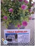 Villa Kaštelan – Omis – Vorschau 20