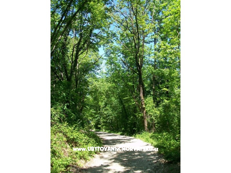 Apartment Filipović Kastav – Ferienwohnung Opatija, Kroatien – Foto 17